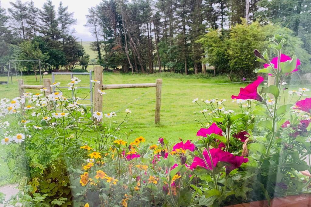 Glen Keen Farm Cottage 路易斯堡 外观 照片
